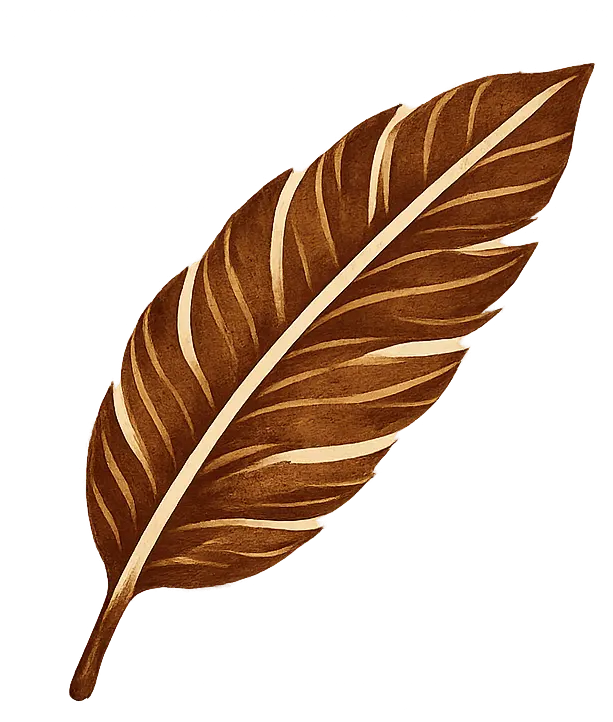 Filter coffee blend suggestion - mild