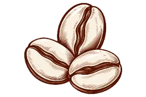 Freshly roasted coffee beans to make filter coffee