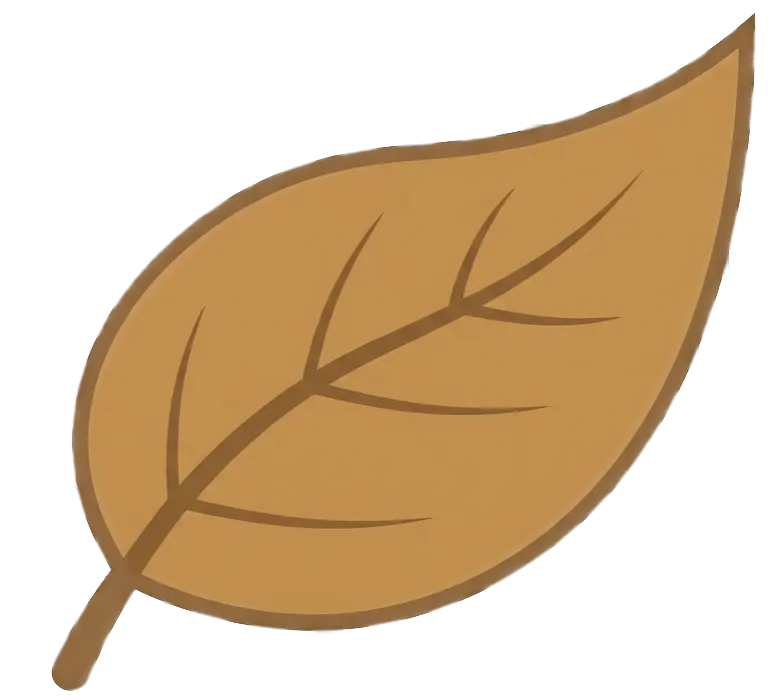 authentic south indian blends icon